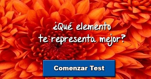 ¿Qué elemento te representa mejor?