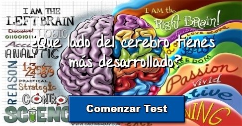 ¿Que lado del cerebro tienes más desarrollado?