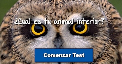 ¿Cual es tu animal interior?