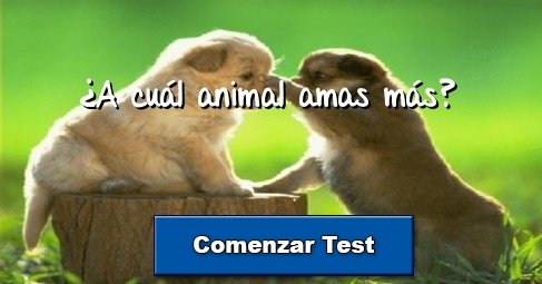 ¿A cuál animal amas más?