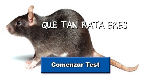 QUE TAN RATA ERES 
