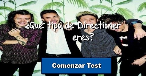 ¿Qué tipo de Directioner eres?