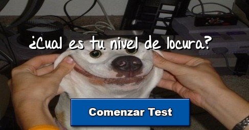 ¿Cual es tu nivel de locura?